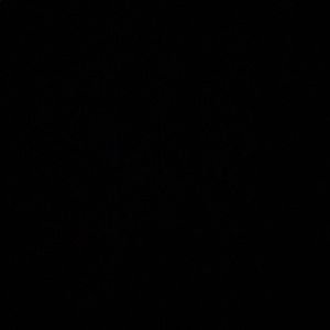 Meet your Posher, Jamie❤️